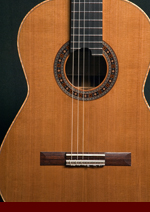 doubletop guitar photo3