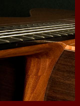 doubletop guitar photo4
