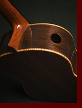 doubletop guitar photo5
