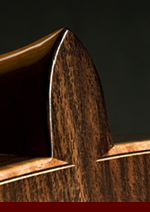 doubletop guitar photo6